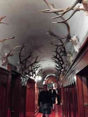 Entry Image